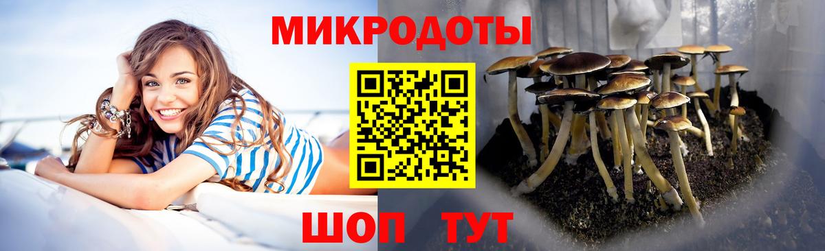 Батайск  Галлюциногенные грибы Psilocybine cubensis  Вход с VPN 